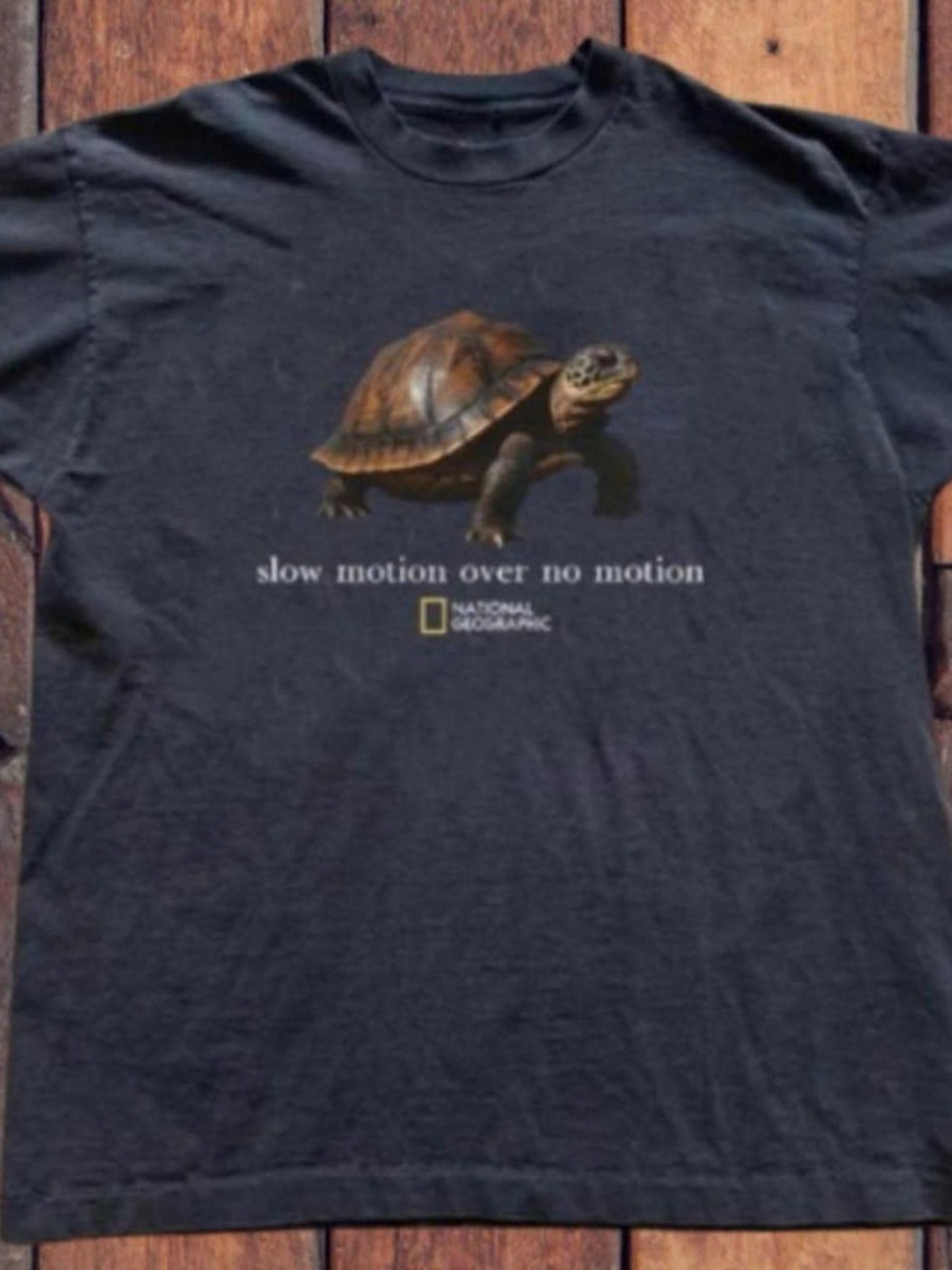 Gildan Black Short Sleeve Tee with Turtle Graphic